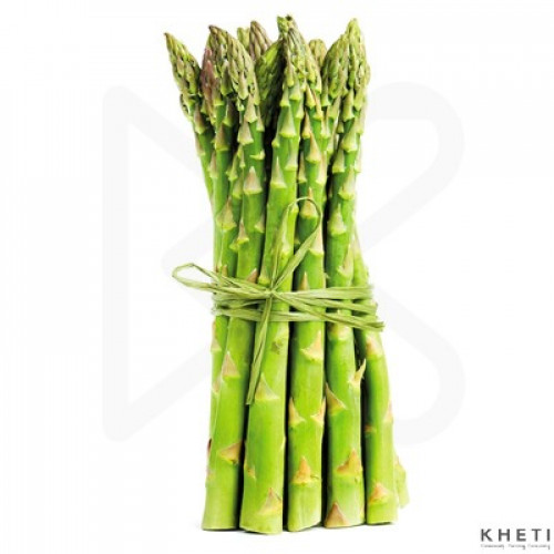 Kurilo, Asparagus (Premium)